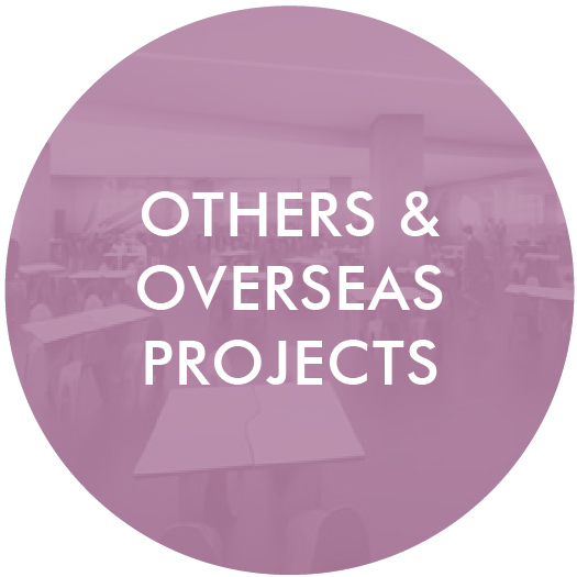 others_and_overseas_projects